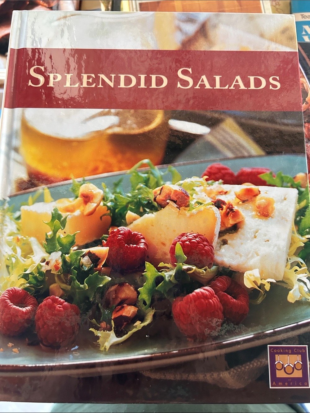 Splendid Salads Cookbook — Red & Green Cover